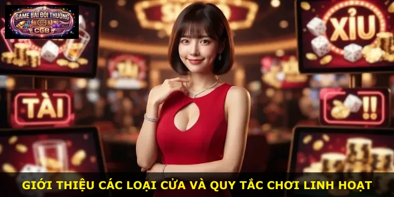 Giới thiệu các loại cửa và quy tắc chơi linh hoạt